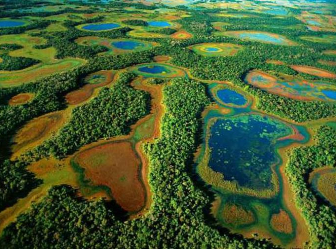 Pantanal - najveća močvara na svijetu