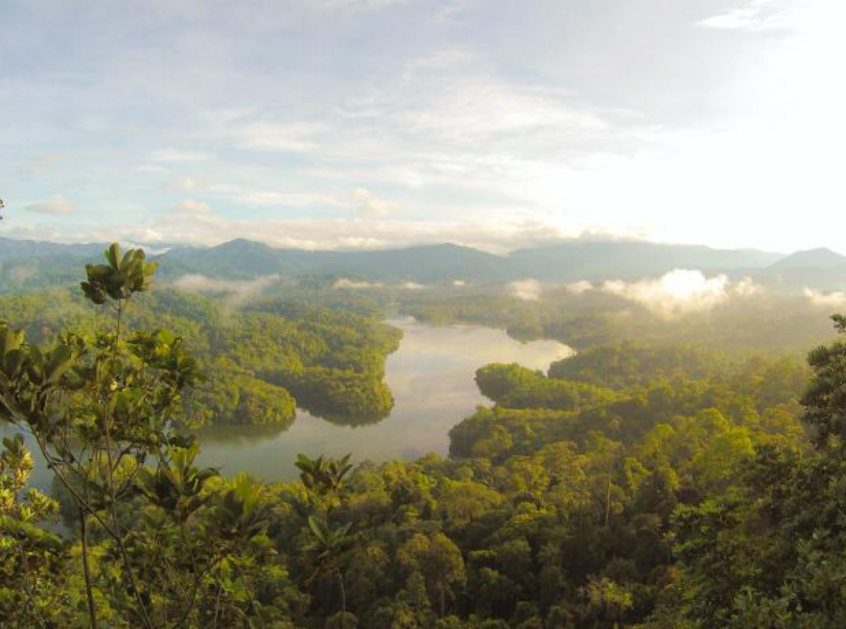 Ima nade – zabilježeno smanjeno krčenje Amazonije