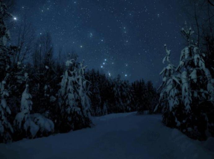 Robert Frost: Zaustavljen uz šumu u snježnoj noći