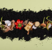 Francuska -  Građani u obavezi da kompostiraju organski otpad iz svojih domova