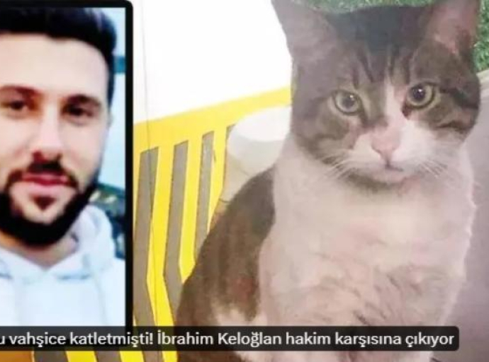 Turska: Ubica mačke osuđen na dvije i po godine zatvora