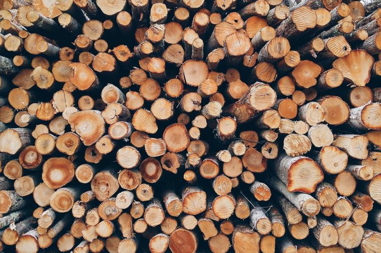 drvo trupci foto Pixabay