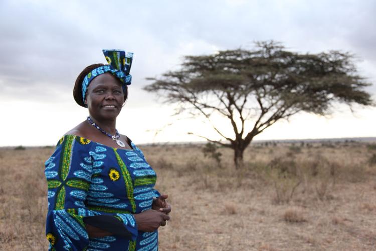 Prof Wangari Maathai