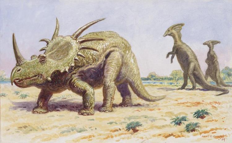 both the styracosaurus right charles r knight