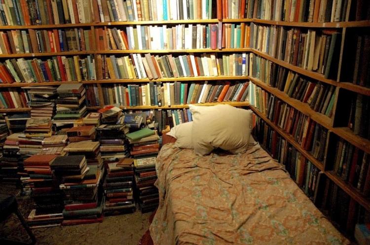 bed bookstore