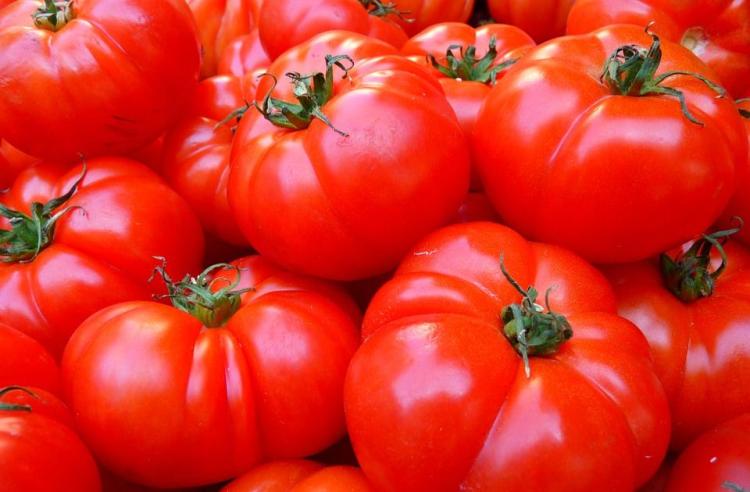 paradajz pxb