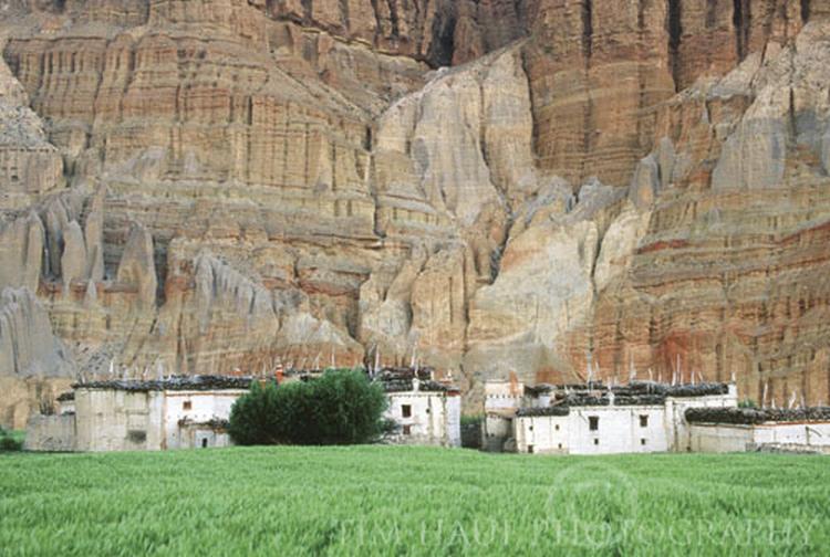 Chhuksang village