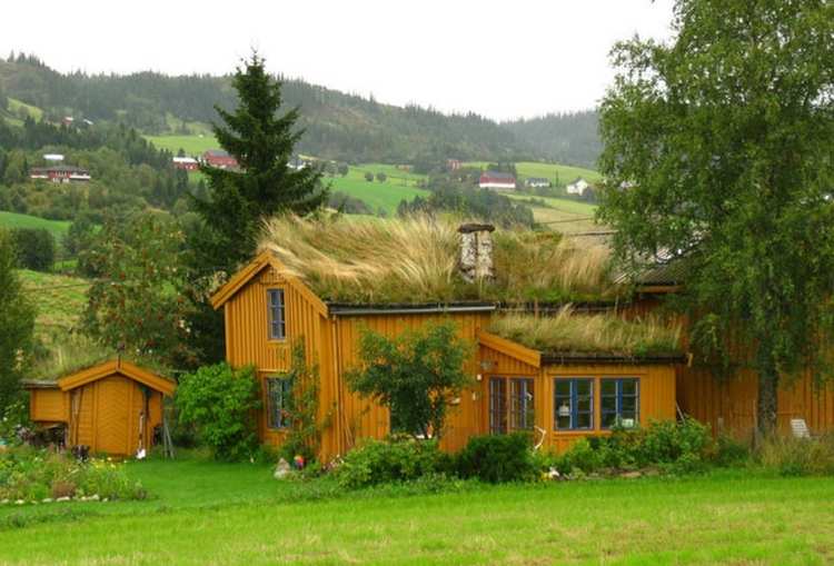 Bajkoviti zeleni krovovi Norveške 21
