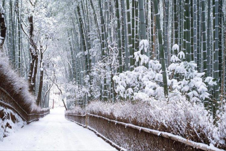 zima u Japanu