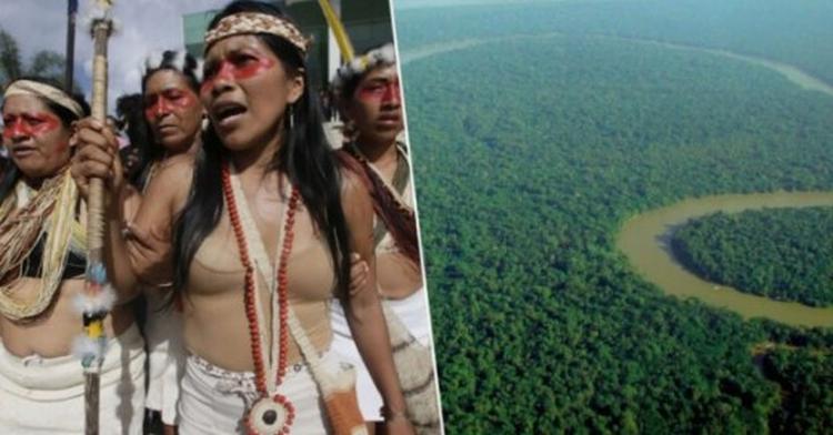 Amazonsko pleme dobilo tuzbu protiv ekvadorske vlade. Spasili su 7 milijuna hektara sume ca large