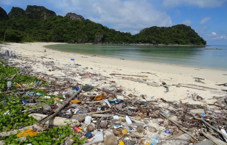 Henderson Island plastic debris