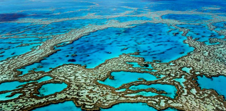 Veliki Koralni Greben Kvinslend Australija1