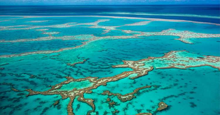 veliki koralni greben australija